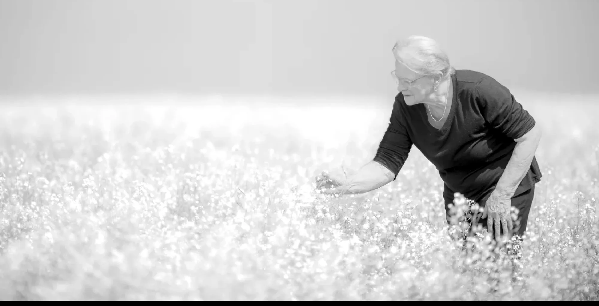 My mother, exploring a canola field near Vegreville, Alberta